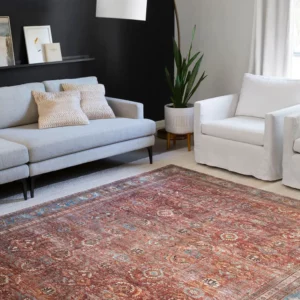 Loloi Area rug | Battle Creek Tile & Mosaic